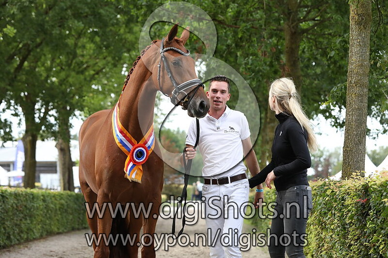 126 Niana VOD v. Desperado