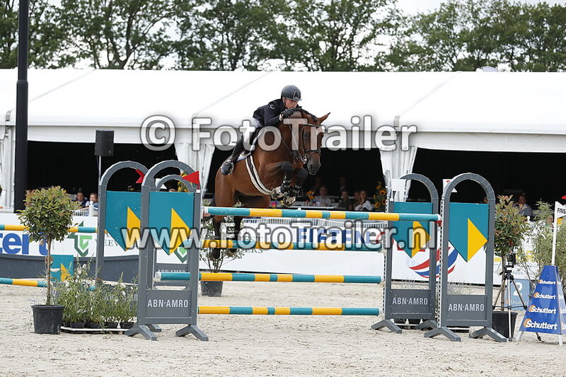 dennis van den brink