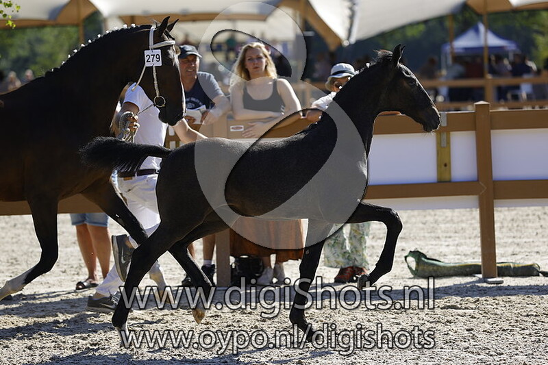 Thea Lia v. Magnifiek