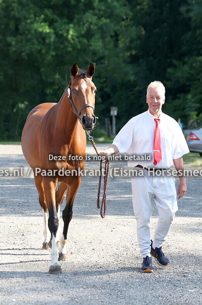 4 Sky (Kensington ES x Desteny v. Van Gogh)