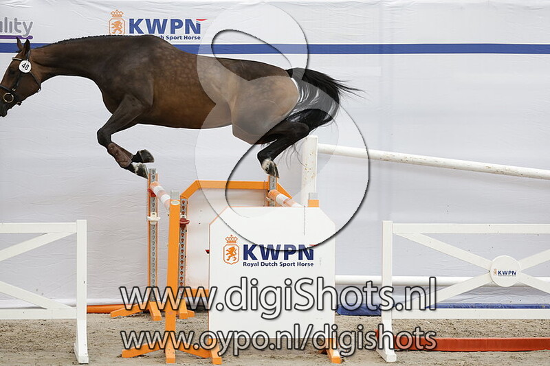 Perona B v. Comthago