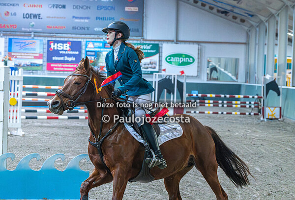 regio nh ponys 70cm (AB) / 90cm