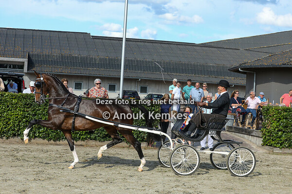 Alternatieve Ibop - Sendie W ( Lanto HBC x Ulandro ) 