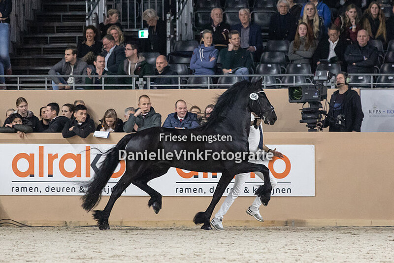 Hengstenkeuring 2023 Menne 496