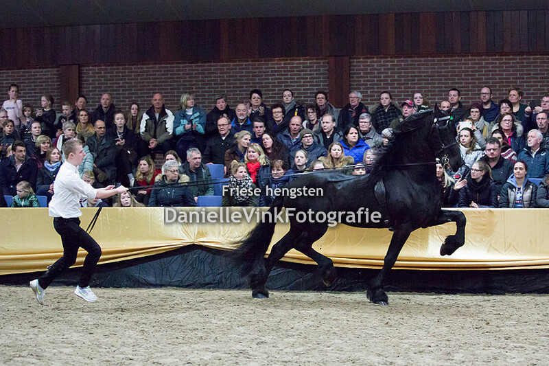Hengstenshow Lunteren 24-02-2018 - Maurus 441