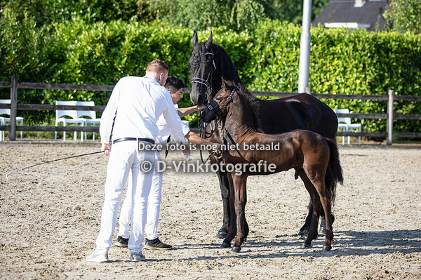 52. Roan van 't Heike