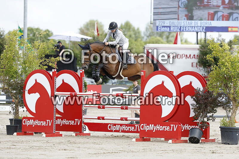 elena ruiz fernandez