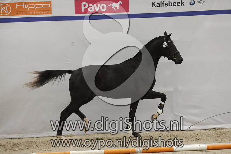 Radetzky H v. Lennox U.s. - 472