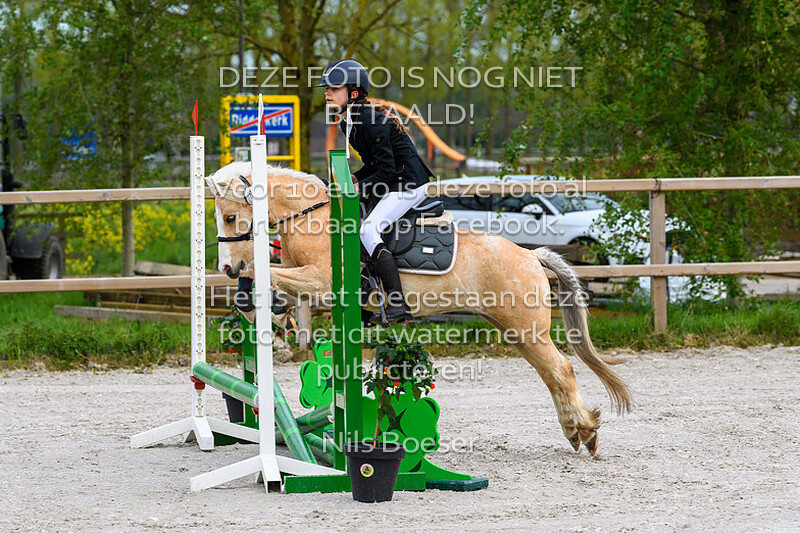 1 ponies klasse 50cm