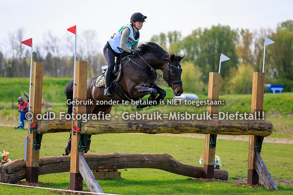 NHHT CCI3-S 19-04-25