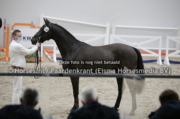 140 Oerend Hard (Jukebox x Geneve v. Totan R)