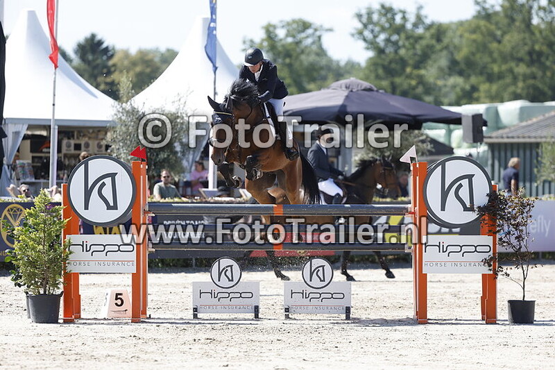 morten alexander djupvik