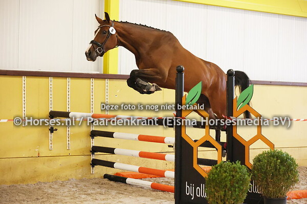 8 Rocketshot KB&IB (Panenka de Kavarie x FL Gel G v. Azteca)