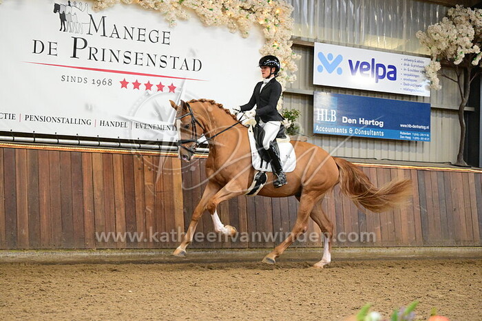 Noortje Geerts - Silvio