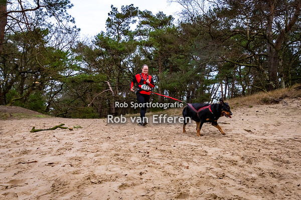 2023 Eindejaarstrail - passage op 3 km canicross
