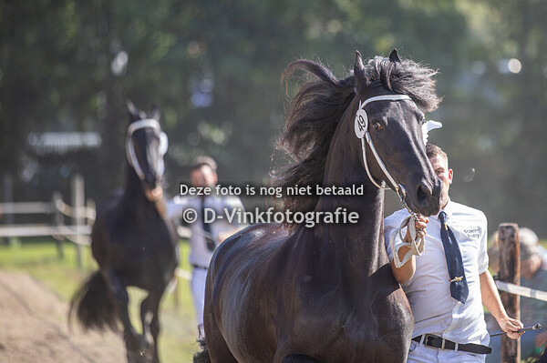 49. Janna fan 'e Sjongedyk