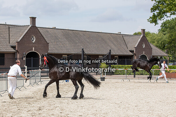 20. Vonkje hat Boite Gewoond