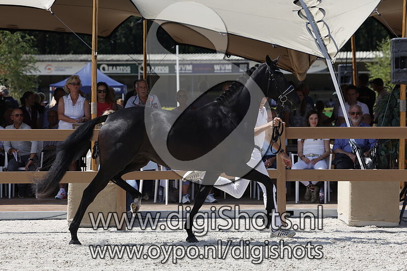 Pepper L.E. v. Lennox US