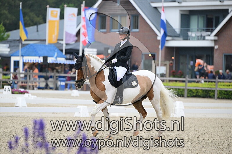 Ring 5 Klasse M2 cat DE