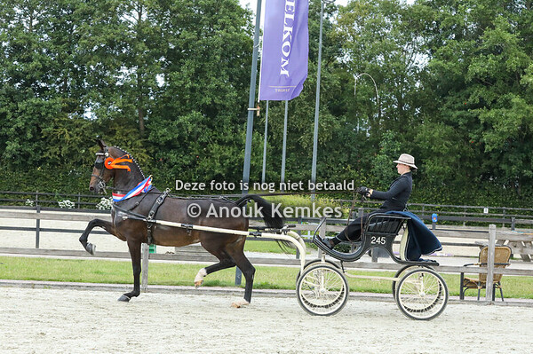 Kampioenschap Fokmerries TP Noord 