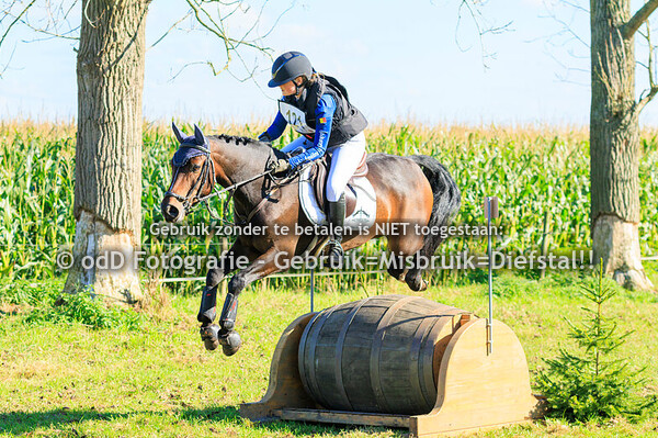 SGW Ysselsteyn Paard L Pony M 05-10-24