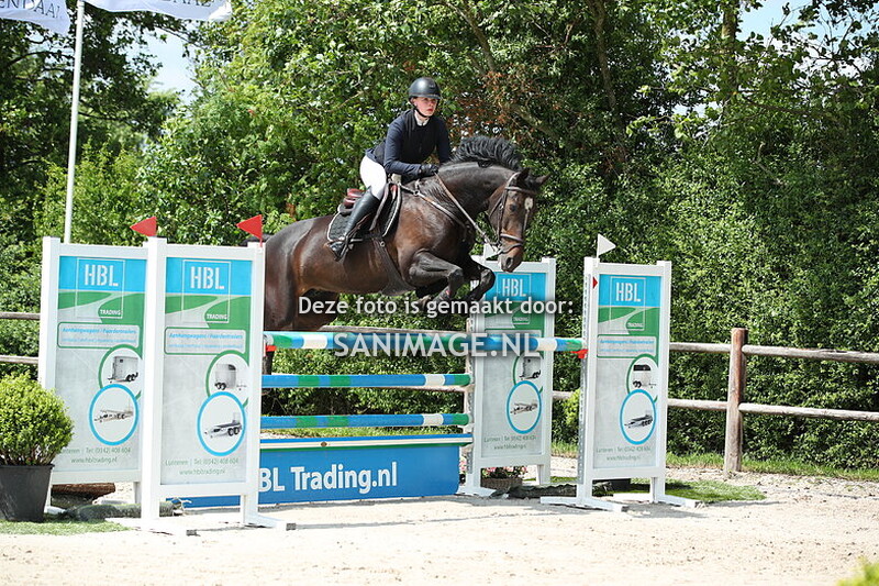 Jumping Tolboom 30-05-2025 Springen Paarden 120 cm