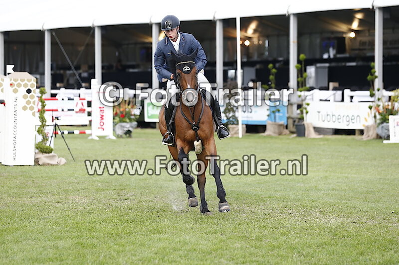 Dennis van den Brink