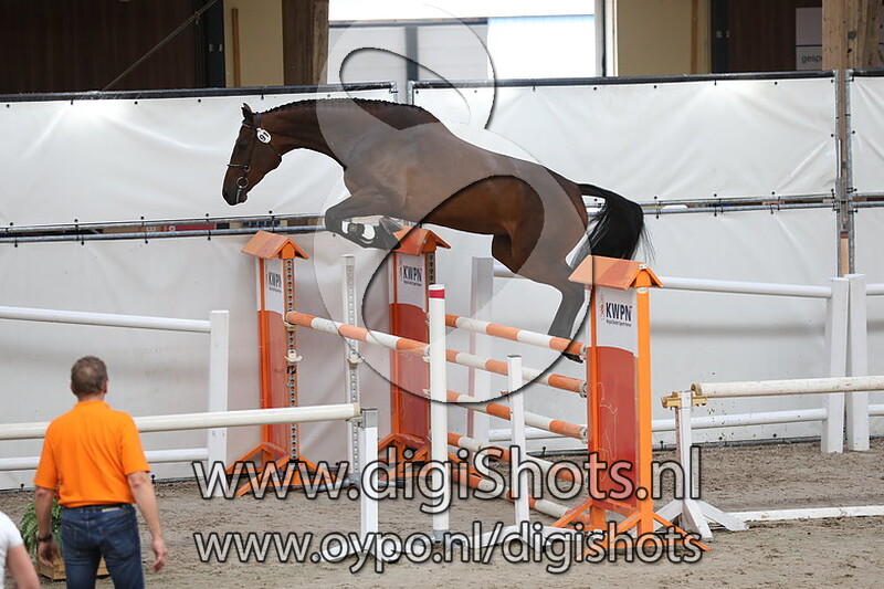 Kinderella VDL v. Kannan