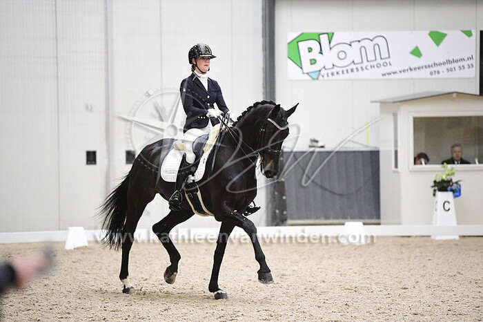 Eline Anker - Logo's Gaya