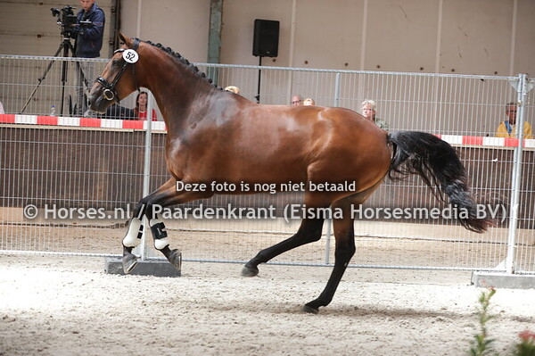 52 Mizarma (Rousseau x Prizarma v. Lennard)