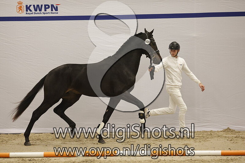 Sorprendy US v. So Perfect