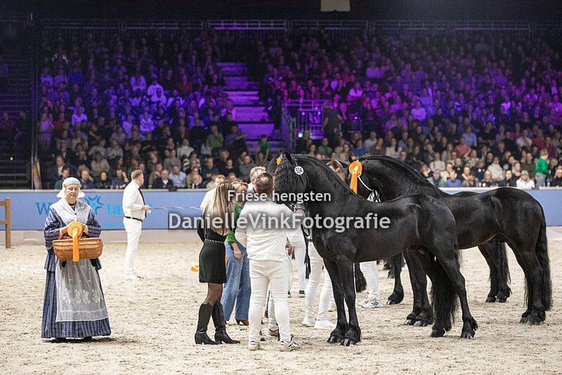 Hengstenkeuring 2024 Kanne 534