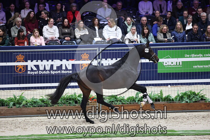 Steenenburg Stradivarius v. Las Vegas