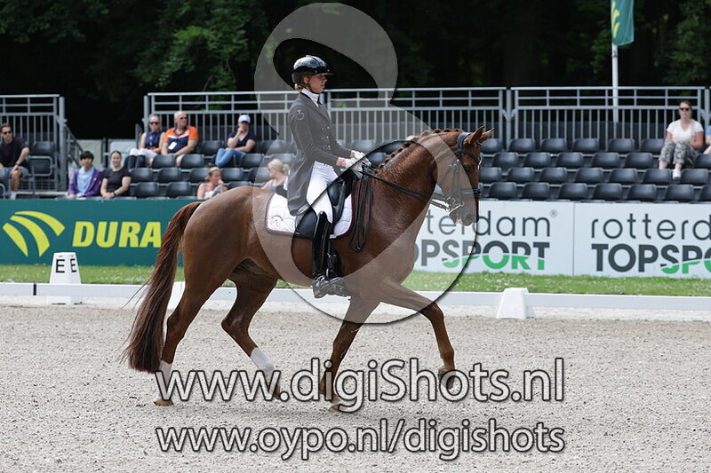 Hexagons King Robert