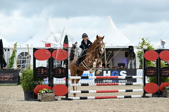 Angelina van de Plasse - Countrys Boy