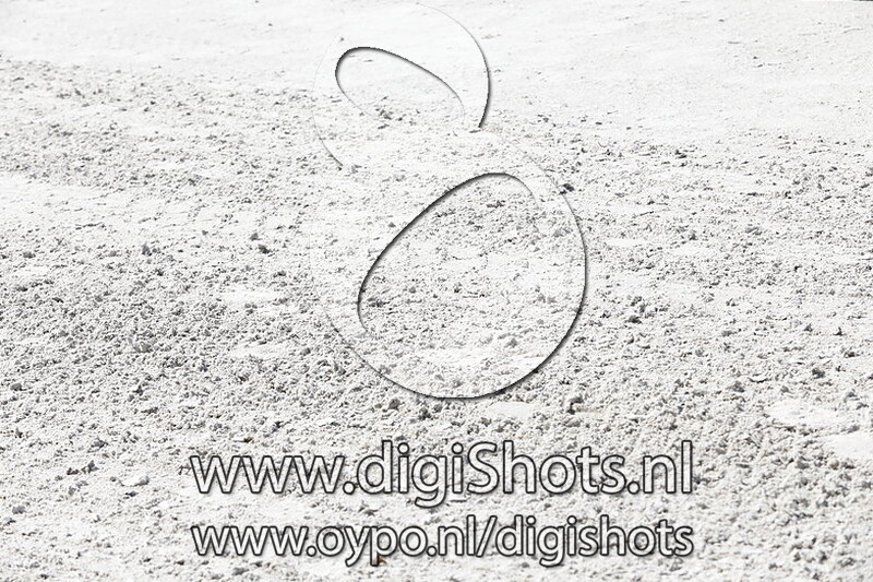 Prijsuitreiking ZZ Zwaar