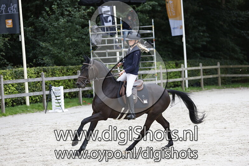 Springen 0.70cm pony