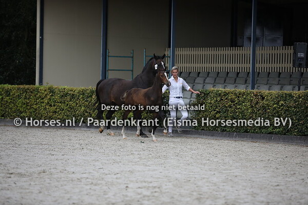 62 Okitt (Kitt SB x Thalia v. Hors la Loi II)