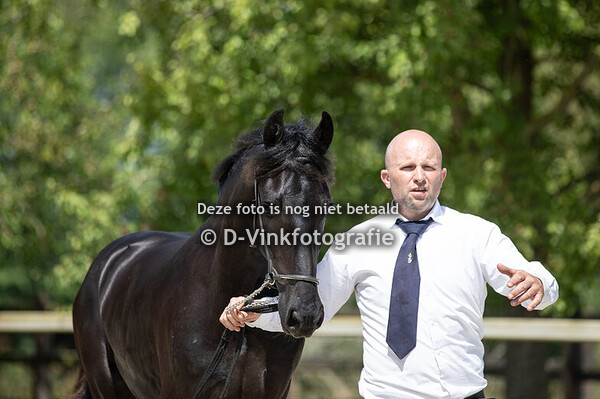 29. Wijfie vd Arebo Hoeve