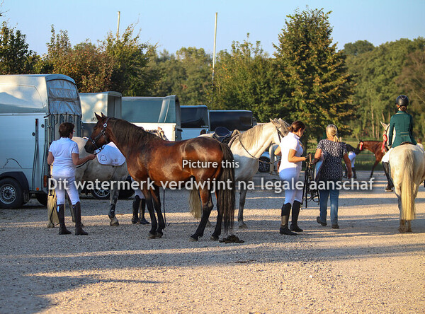 Zaterdag - Parade en overige - ONCK 2024