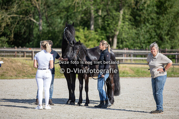 05. Fyr fan Rijck's Pleats