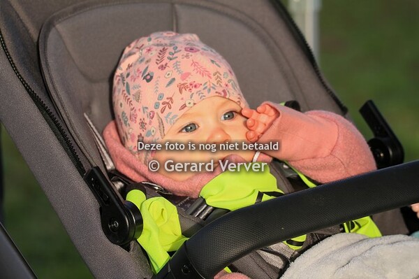 peel en maas challenge 24-2-2024