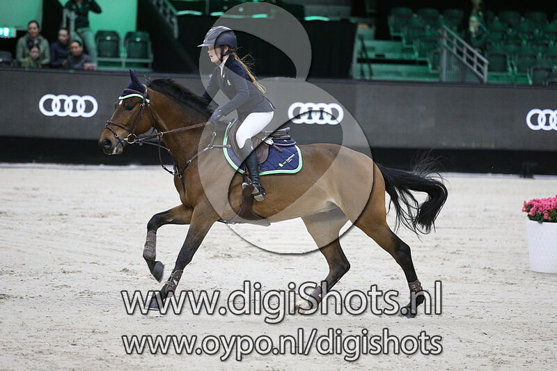 Mixed by Thunder van de Zuuthoeve