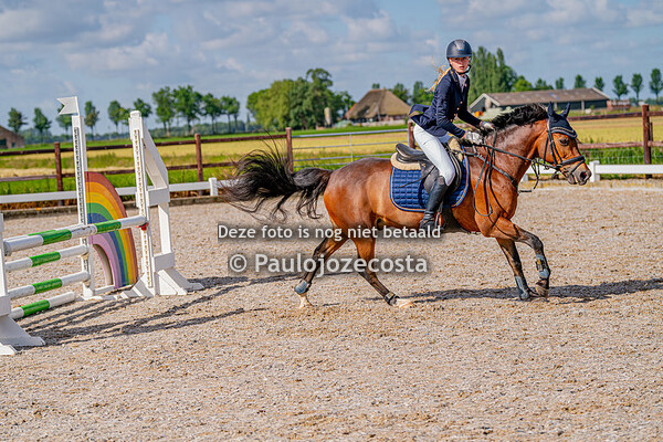 Beemster Ruiters Pony's 80cm