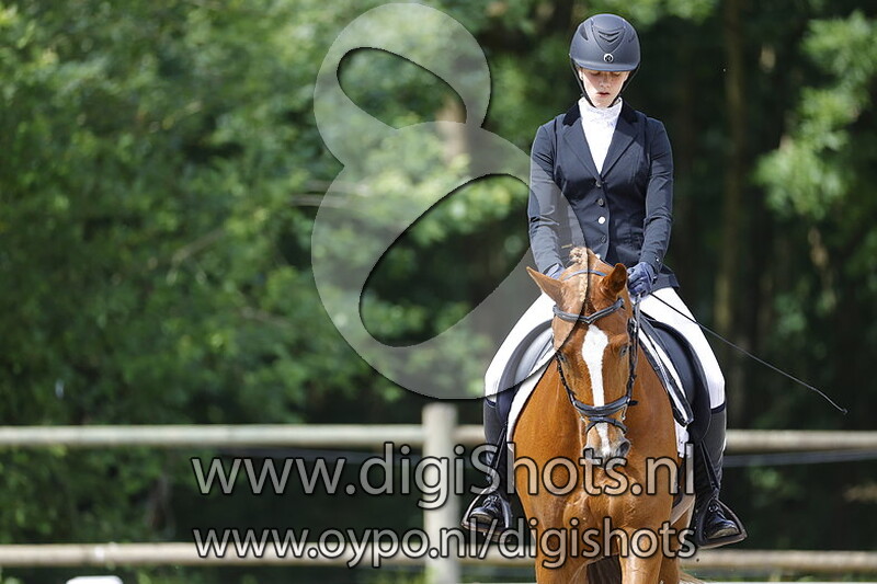 Kelvin van Equi Center