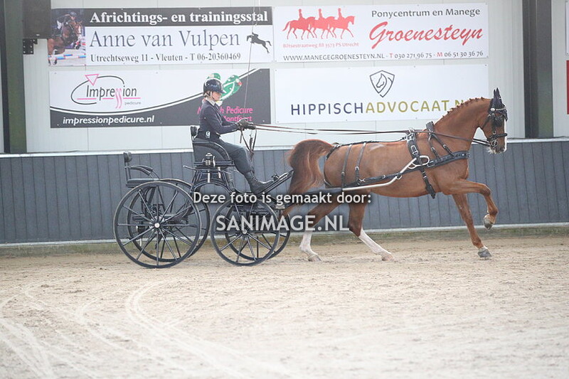 De Voornruiters De Meern Mennen Dressuur 27-01-2024 Enkelspan M/Z/ZZ 14.00-16.00 uur