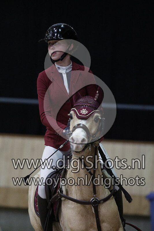 Renaissance Tamerlan