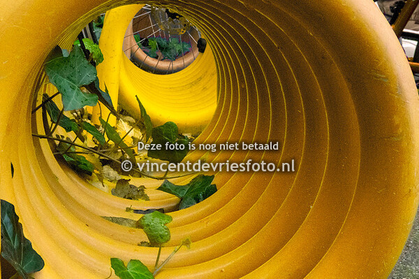 WEEK 05 29 jan- 04 feb