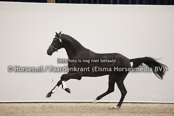 381 Ferdinand x OO Seven