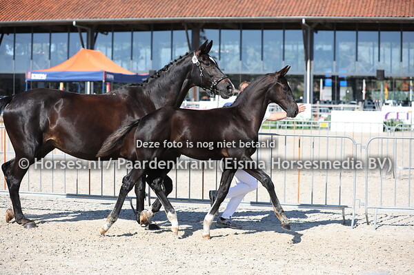 94 Olympic Way (Glock's Toto jr x Zoroterma v. Tolan R) (1)